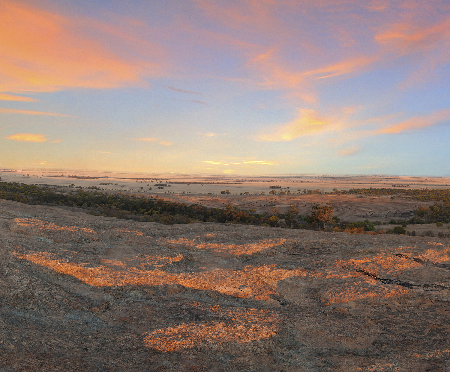 Wheatbelt landscape